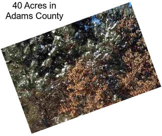 40 Acres in Adams County