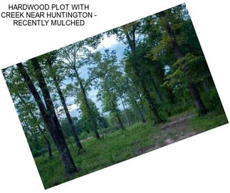 HARDWOOD PLOT WITH CREEK NEAR HUNTINGTON - RECENTLY MULCHED