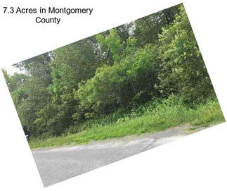 7.3 Acres in Montgomery County