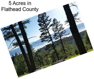 5 Acres in Flathead County