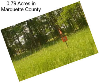 0.79 Acres in Marquette County