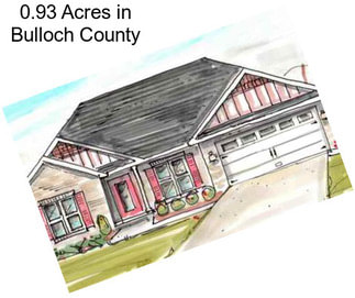 0.93 Acres in Bulloch County