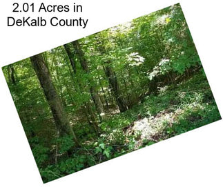 2.01 Acres in DeKalb County