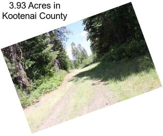 3.93 Acres in Kootenai County