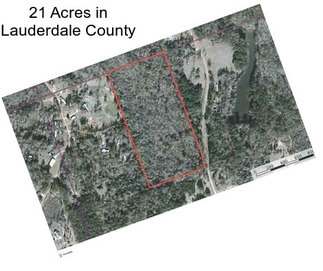 21 Acres in Lauderdale County