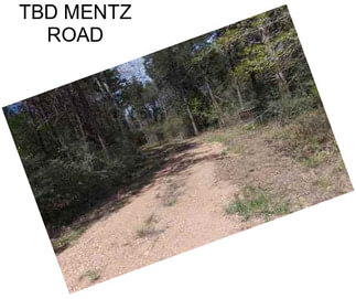 TBD MENTZ ROAD