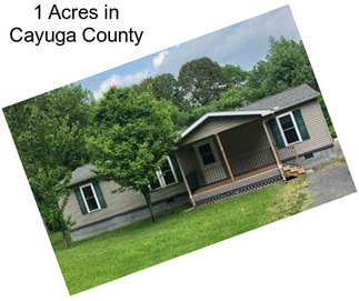1 Acres in Cayuga County