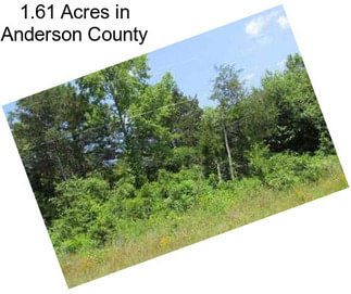 1.61 Acres in Anderson County