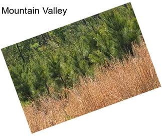 Mountain Valley