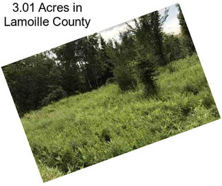 3.01 Acres in Lamoille County
