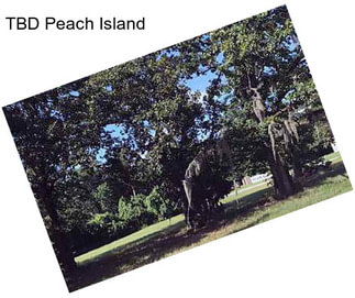 TBD Peach Island