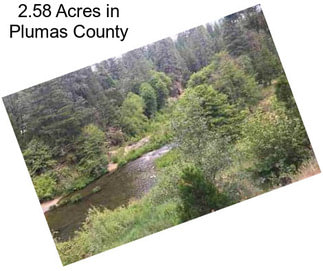 2.58 Acres in Plumas County