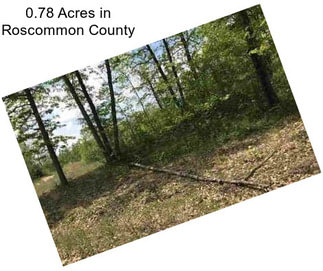 0.78 Acres in Roscommon County