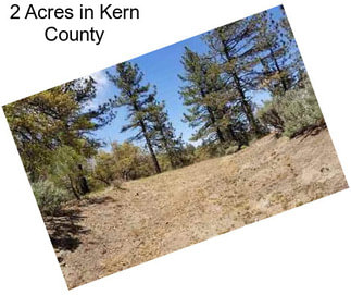 2 Acres in Kern County