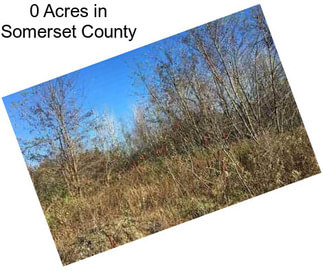 0 Acres in Somerset County
