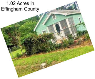 1.02 Acres in Effingham County