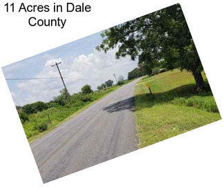 11 Acres in Dale County