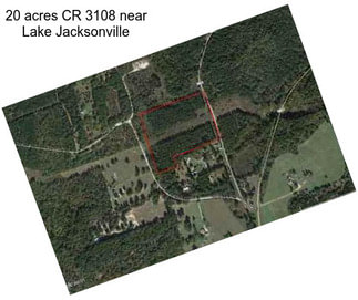 20 acres CR 3108 near Lake Jacksonville