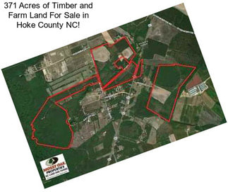 371 Acres of Timber and Farm Land For Sale in Hoke County NC!