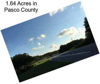 1.64 Acres in Pasco County