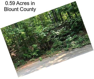 0.59 Acres in Blount County