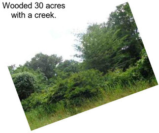 Wooded 30 acres with a creek.