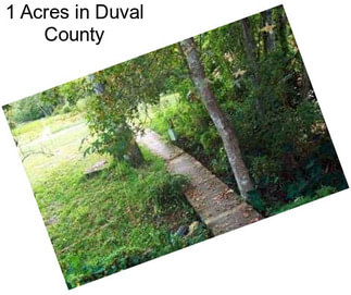 1 Acres in Duval County