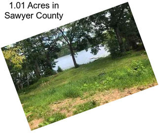 1.01 Acres in Sawyer County