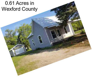 0.61 Acres in Wexford County