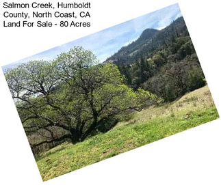 Salmon Creek, Humboldt County, North Coast, CA Land For Sale - 80 Acres