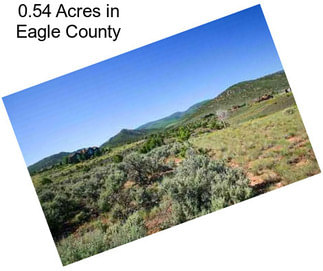 0.54 Acres in Eagle County