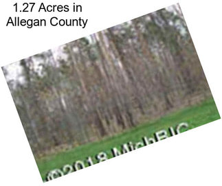 1.27 Acres in Allegan County