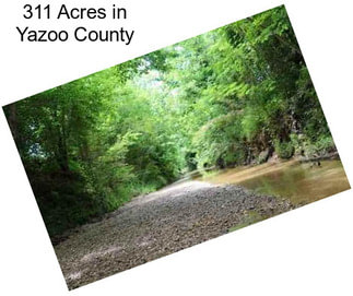 311 Acres in Yazoo County