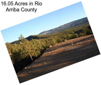 16.05 Acres in Rio Arriba County