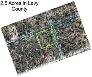 2.5 Acres in Levy County