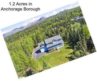 1.2 Acres in Anchorage Borough