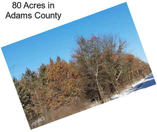 80 Acres in Adams County