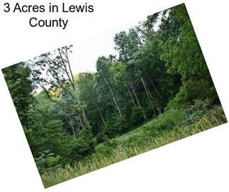 3 Acres in Lewis County