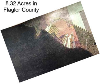 8.32 Acres in Flagler County