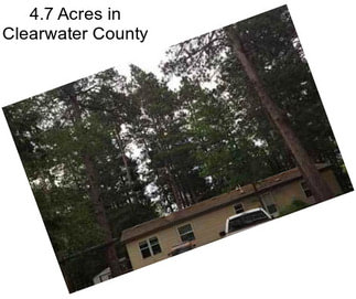 4.7 Acres in Clearwater County