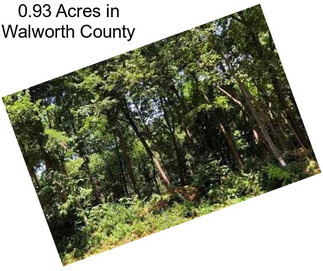 0.93 Acres in Walworth County