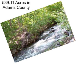 589.11 Acres in Adams County