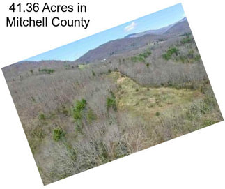 41.36 Acres in Mitchell County
