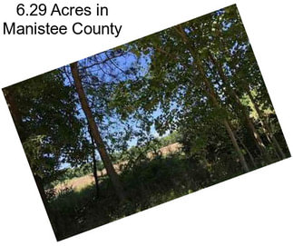 6.29 Acres in Manistee County