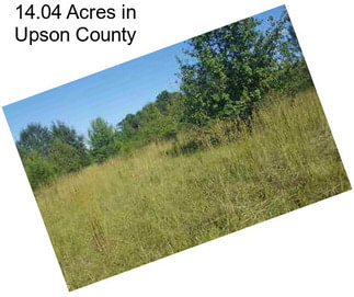 14.04 Acres in Upson County