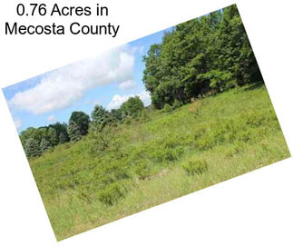 0.76 Acres in Mecosta County