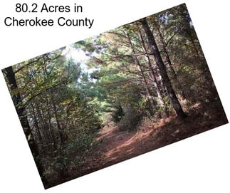 80.2 Acres in Cherokee County
