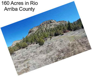 160 Acres in Rio Arriba County
