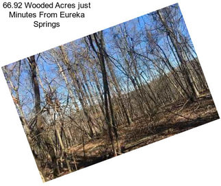 66.92 Wooded Acres just Minutes From Eureka Springs