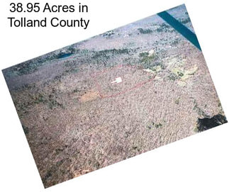 38.95 Acres in Tolland County